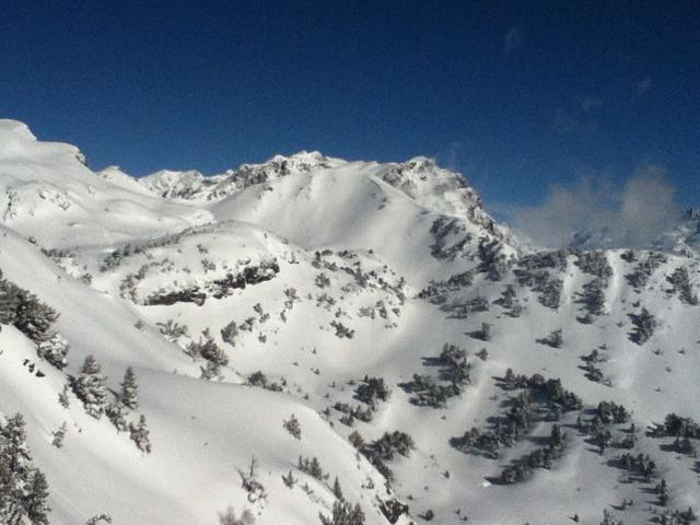 Cozy Studio for 4, Well-Equipped, Ski-in/Ski-out Location FR-1-340-99 - Chamrousse
