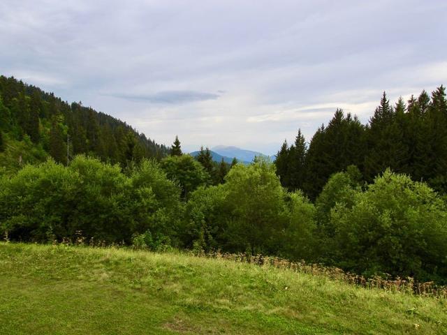 Studio cabin, balcony, covered parking, no pets allowed FR-1-340-122 - Chamrousse