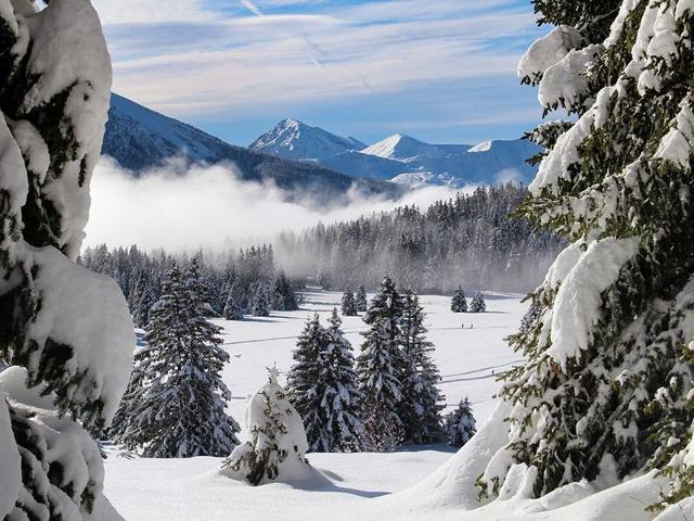 Charming 3-Star Mountain Studio, Center of Chamrousse, Close to Slopes FR-1-340-160 - Chamrousse