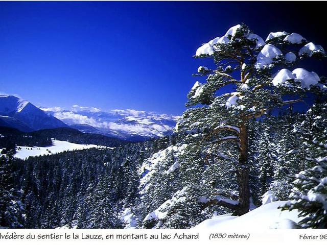 Résidence LES CARLINES - Chamrousse