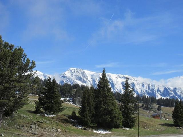 Résidence LES CARLINES - Chamrousse