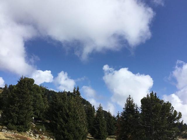 Résidence LES CARLINES - Chamrousse