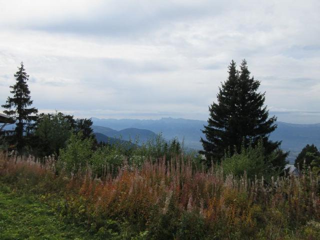 Résidence LES CARLINES - Chamrousse