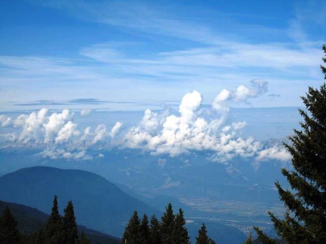 Résidence LES CARLINES - Chamrousse