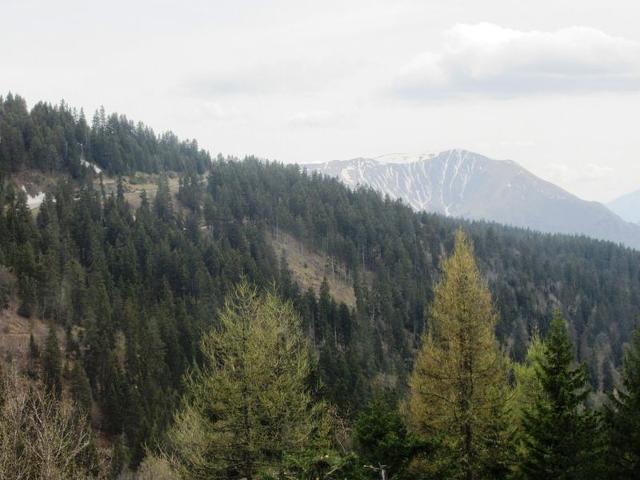 Spacious 2BR Apartment with Cabin, South-Facing Balcony, and Pet-Friendly in Chamrousse FR-1-340-133 - Chamrousse