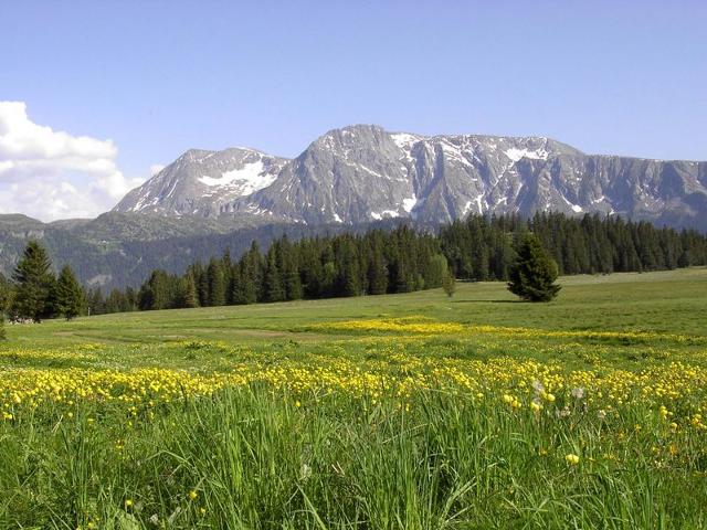 Spacious 2BR Apartment with Cabin, South-Facing Balcony, and Pet-Friendly in Chamrousse FR-1-340-133 - Chamrousse