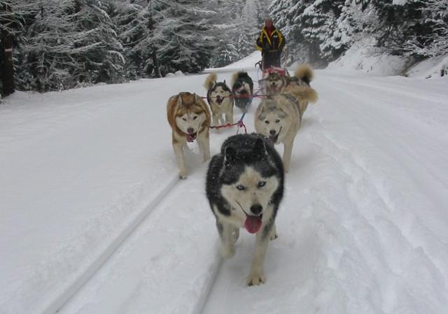 Résidence Les Flocons d'Argent 3* - Aussois