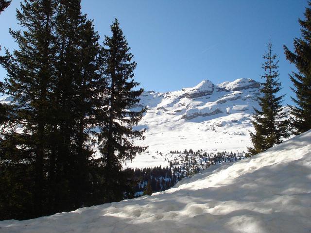 CHALET DE L'arbaron - Flaine Le Hameau 1800