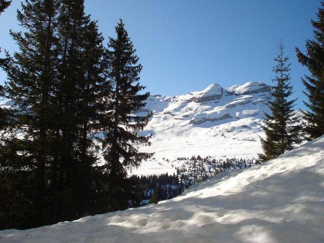 CHALET DE L'arbaron - Flaine Le Hameau 1800