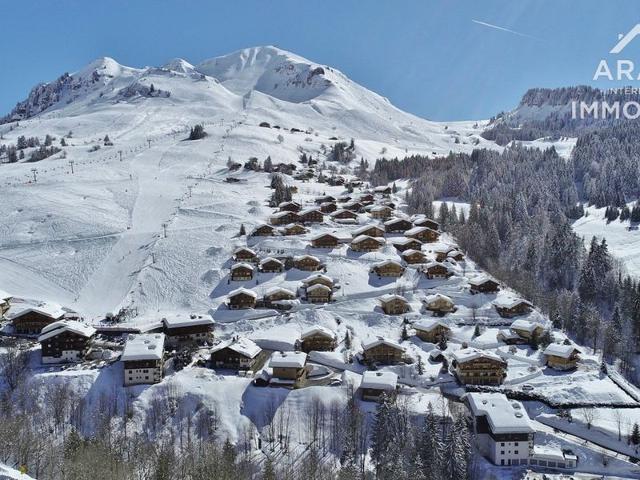 Charming Chalet for 11, Close to Slopes & Amenities FR-1-391-22 - Le Grand Bornand