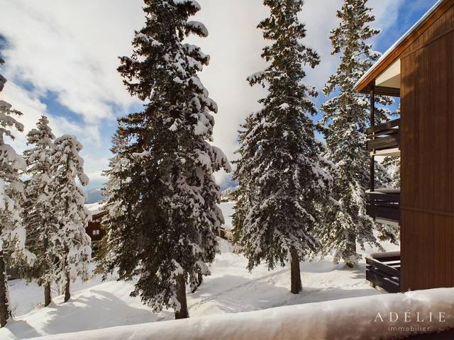 Appartment Vanoise VAN401 - La Rosière