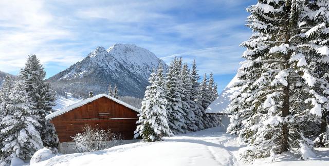 CHALET CARLINES - Montgenèvre