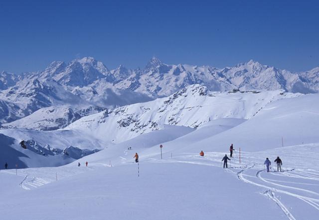 CHALET CARLINES - Montgenèvre