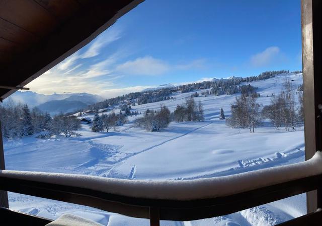 Apartements MONT BLANC C - Les Saisies