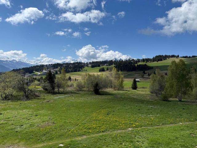 Apartements MONT BLANC D - Les Saisies