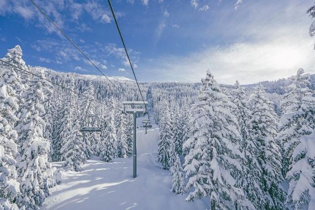 Appartment Les Granges De La Ro GRANGA3 - La Rosière