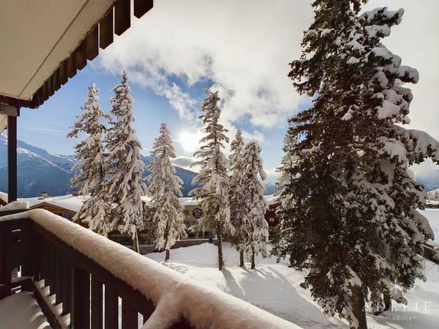 Appartment Vanoise VAN402 - La Rosière
