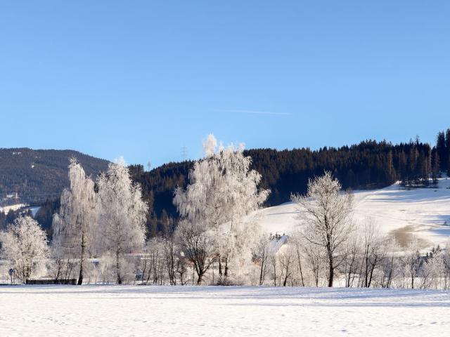 Apartment Dachstein - Flachau