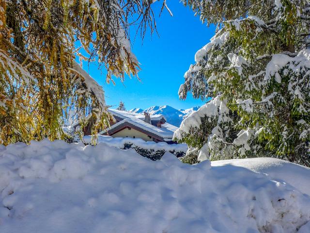 Apartment Le Loup Blanc - Bagnes - Verbier