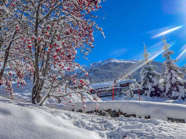 Apartment Le Loup Blanc - Bagnes - Verbier