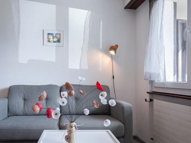 Apartment Valaisia 32B - Nendaz