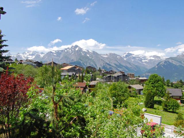 Châlet Valet de Coeur - Nendaz