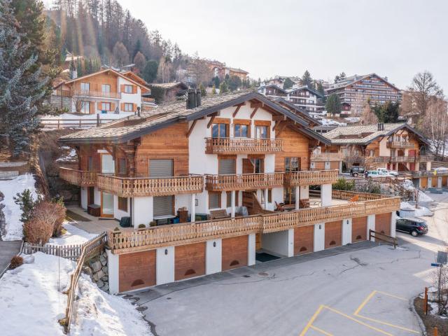 Apartment Grands Ducs 101G - Nendaz