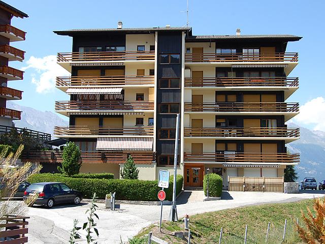 Apartment Les Arolles A1 - Nendaz