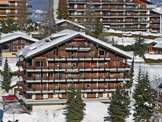 Apartment Baccara A1 - Nendaz