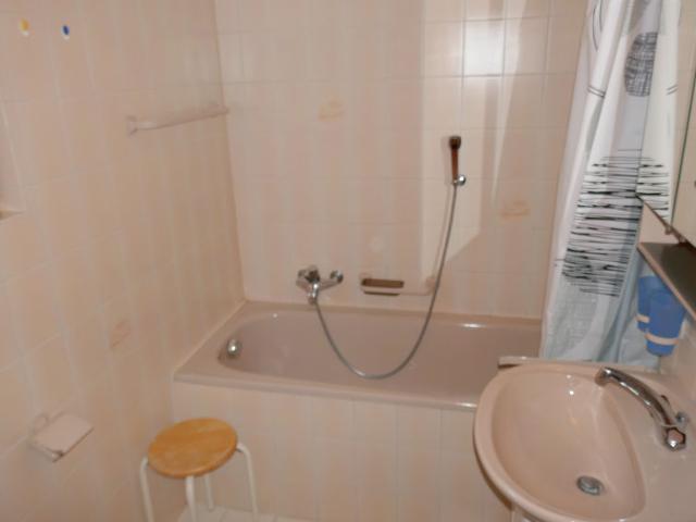 Apartment Baccara A1 - Nendaz