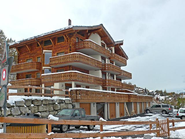 Apartment Le Chardon Bleu 101 - Nendaz