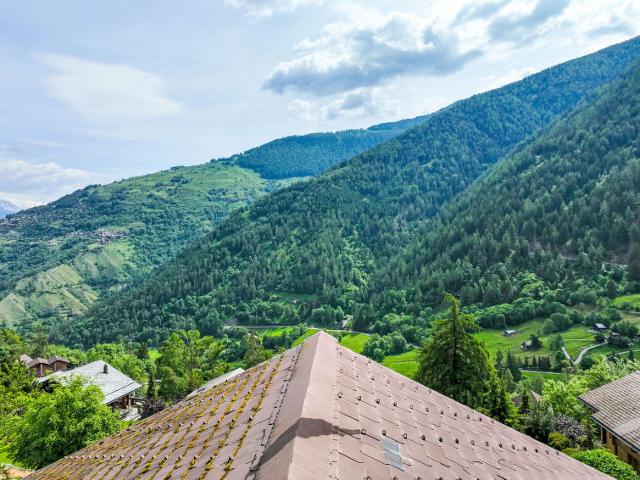 Châlet Edelweiss - Nendaz