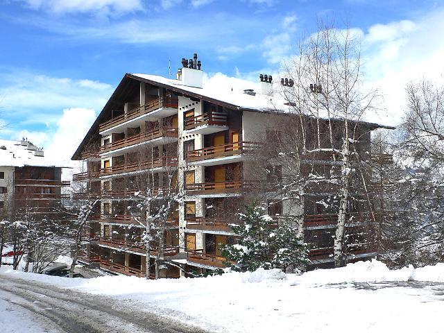 Apartment Derborence 25 - Nendaz