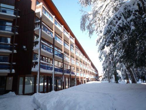 Apartements BELLECOTE - Les Arcs 1800