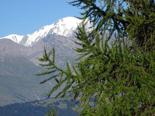 Apartements BELLES CHALLES - Les Arcs 1800