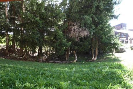 Apartements BELLES CHALLES - Les Arcs 1800