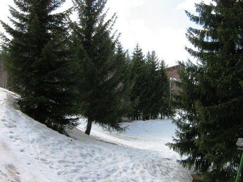 Apartements BELLES CHALLES - Les Arcs 1800