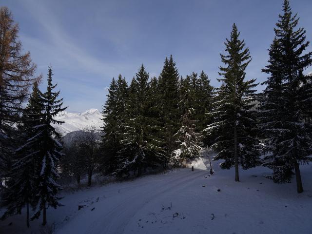 Apartements BELLES CHALLES - Les Arcs 1800