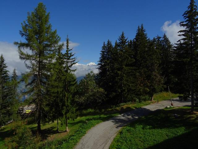 Apartements BELLES CHALLES - Les Arcs 1800