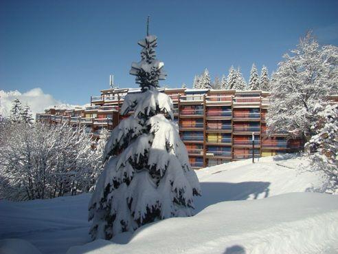Apartements NOVA - Les Arcs 1800