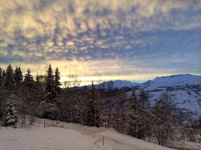 Apartements PIERRA MENTA - Les Arcs 1800