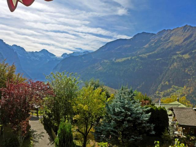 Apartment Rose - Wengen