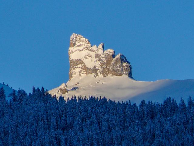 Apartment Rose - Wengen 