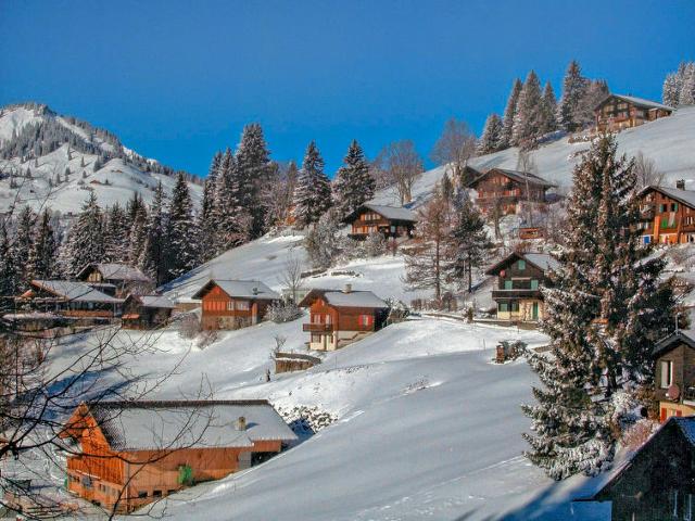 Châlet Jungfrau an der Ledi - Wengen 