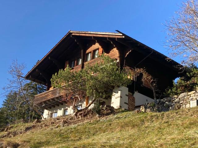 Châlet Jungfrau an der Ledi - Wengen 