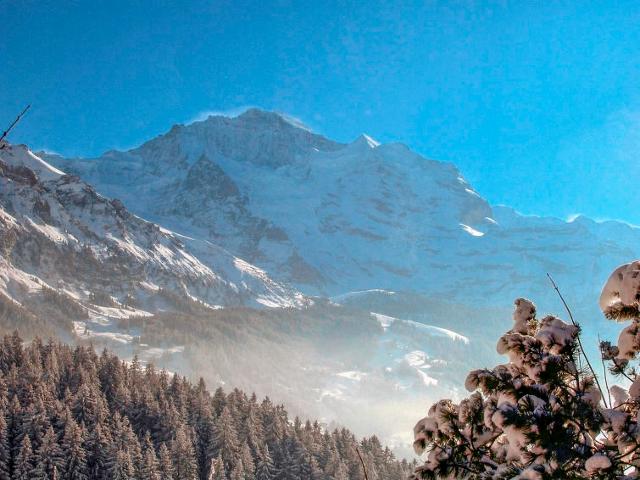 Châlet Jungfrau an der Ledi - Wengen 