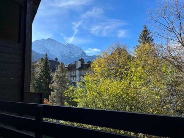 Apartment Im Gruebi - Wengen