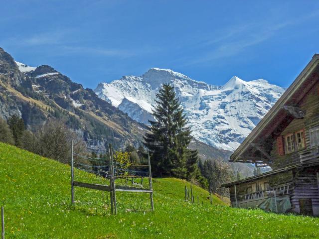 Chalet Star - Wengen 