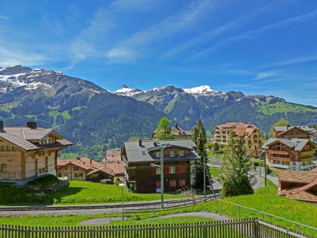 Chalet Star - Wengen 