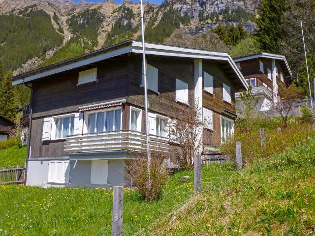 Chalet Star - Wengen 